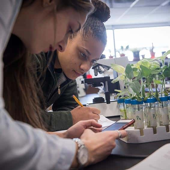 Students researching plants in the lab