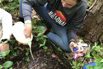 Cortland wins grant for invasive species research 