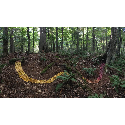 Leaf Trail