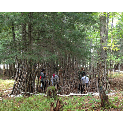 Branch Sculpture