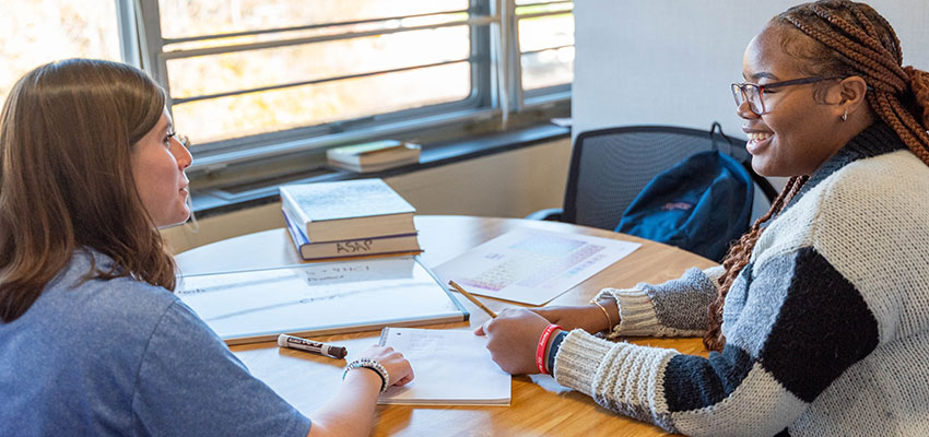 Peer Tutoring Session