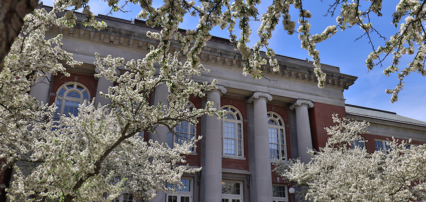 Old Main pictured through the trees in spring