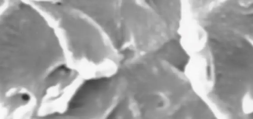 A close-up of the surface of Polyphenylene Oxide.