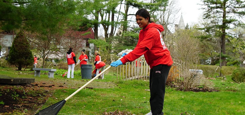 Students raking up leaves in Cortland while volunteering in the Big Event