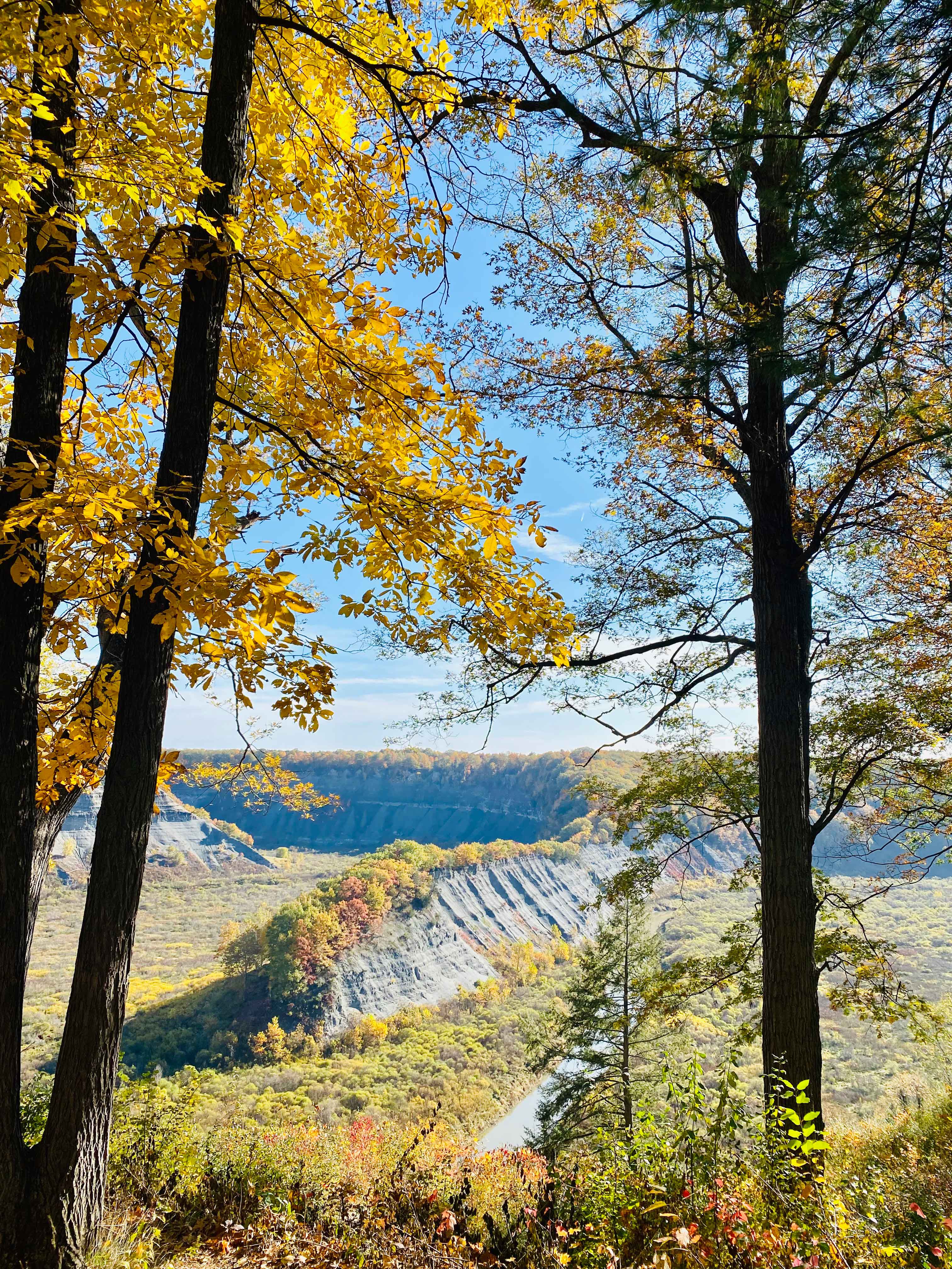 Landscape of Letchworth State Park