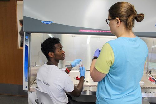 Two people doing LSAMP biology research