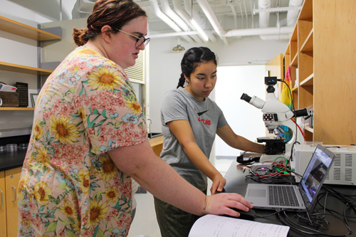 Two people doing LSAMP Chemistry research