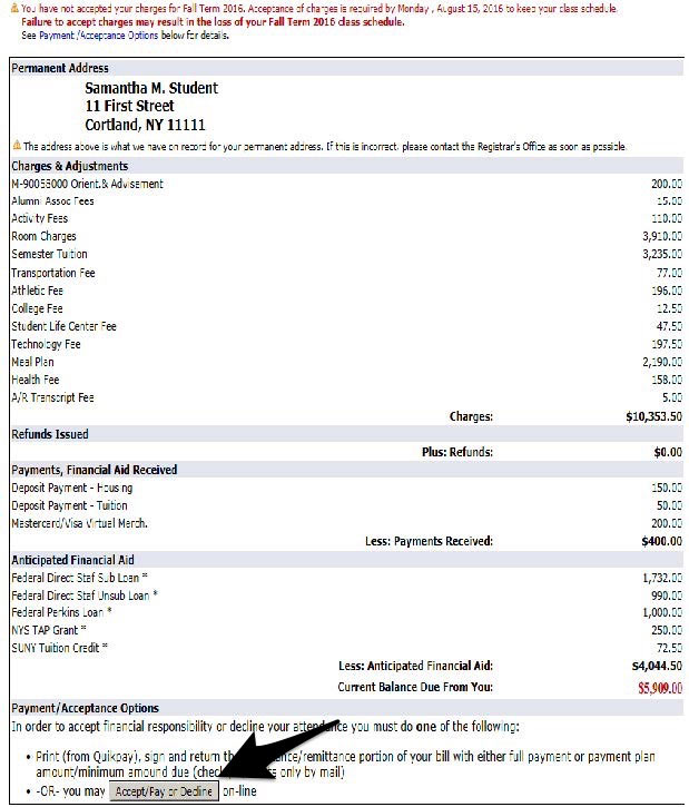 Account Summary, Payment options, Pay or Decline