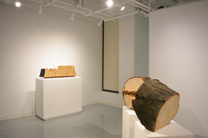 View into the east gallery at Dowd Gallery featuring two sculptural objects produced by Ithaca-based sculptor Jack Elliott.