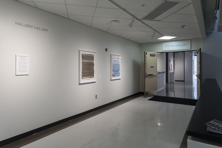 View into the Hallway Gallery at Dowd Gallery featuring paintings and works on paper by Binghamton-based artist Natalija Mijatović. Image: Marcus Newton. 